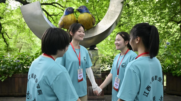 图片 9.png